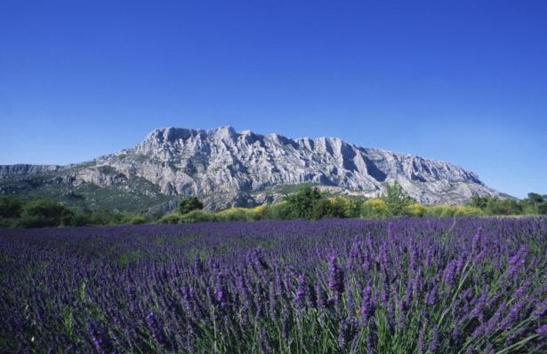 Sweet Home Studio Aix En Provence, Terrasse, Piscine, Resto, Éguilles Екстериор снимка